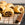 Chestnut Stuffing Sausage Rolls