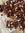 Chestnut & Ginger Rocky Road