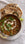 Creamy Dal Makhani Recipe